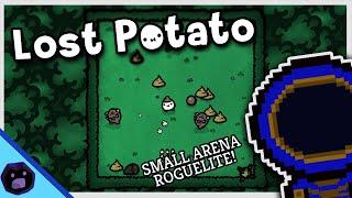 MINIMALIST UNIQUE ARENA ROGUELITE!  |  Olexa Looks at: Lost Potato