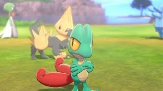 A word with SkylarTreecko | Pokémon Sword- Camp