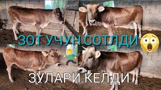 СИЗЛАР СУРАГАН ШВЕТ ГУНАЖИНЛАР ОЛИБ КЕЛДИГ ЯНГИ ПАРТЙАЛАР БУ САПАР УЛГРИБ КОЛИН ДУСЛАР