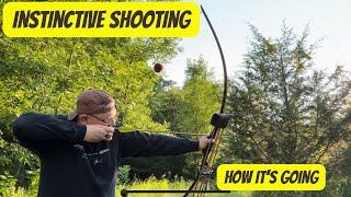 Instinctive Shooting: How It’s Going So Far