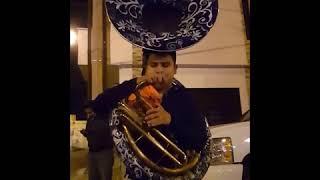 Edy Moreno Tuba - El Toro Viejo -  2017