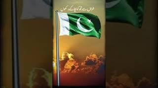 Pakistan zindabad#paindabad 🩷 independence day of Pakistan 14 August1947