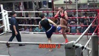 Sam (Tiger Muay Thai) vs Sunisa (CherngTalay Muay Thai) @ Suwit Stadium 29/4/16