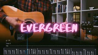 Evergreen Richy Mitch & The Coal Miners Сover / Guitar Tab / Lesson / Tutorial