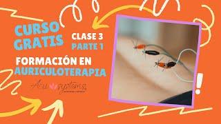 CURSO GRATIS FORMACIÓN EN AURICULOTERAPIA | CLASE 3 PARTE 1 | ACU SYSTEMS