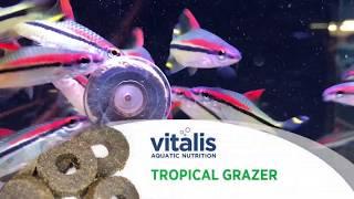 Vitalis Tropical Grazer