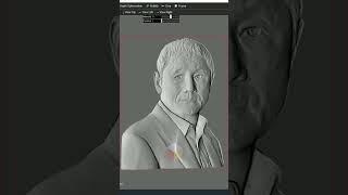 3D model by a professional vs Vistasculpt