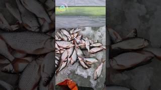 Зимняя рыбалка р.Десна в г.Троицк #рыбалка #зимняярыбалка #Троицк #рыболовтроицк #fishing #ice