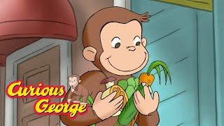 Goerge's Plant Food!  Curious George  Kids Cartoon  Kids Movies