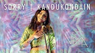 Justin Bieber - Sorry | Kandukondain Kandukondain (Vidya Vox Mashup Cover)