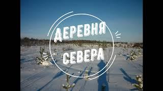 Открытие капканного промысла куницы.