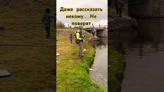 Мне ни кто не поверил #рибалка #риболов #fishing #щука #рыбалка #рыба #спиннинг #спінінг #окунь