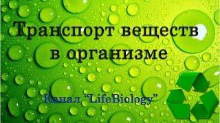 Транспорт веществ в организме