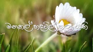 මනකල් හද විල් තලයේ / Manakal hada vil thalaye