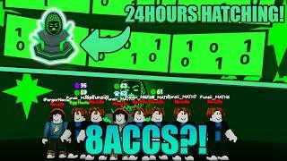 24 Hours Hatching for  Secrets with 8 Accounts in Rebirth Champions X! - Roblox