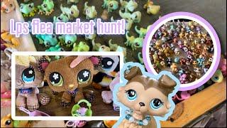 *HUGE* Lps flea market hunt! | + haul! | hundreds of pets & accessories!!￼