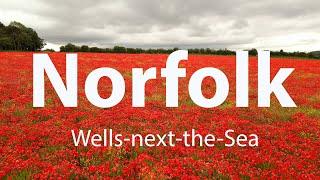 Norfolk from Drone