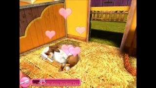 PetWorld 3D - Gameplay AppGemeinde