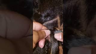 3 Ways to use a Latch Hook #crochetbraids #crochetneedle