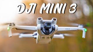 DJI Mini 3  - $469 Drone That's Actually GOOD!