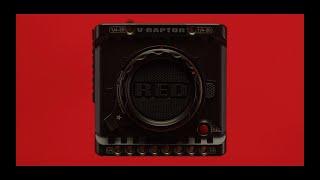 Rene Rivas Productions - RED V-Raptor 8K-VV intro