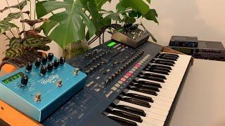 Ambient session with the Korg MS2000 and the Strymon Big Sky + Timeline  *No Talking*