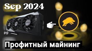 Что я майню в сентябре 2024? Монета WART, инструкция для Windows и Hive OS