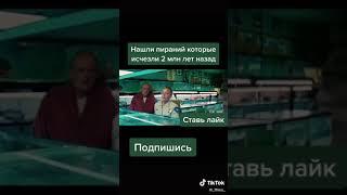 видео из тик тока нашли пираний которые вымерли 2 млн лет назад