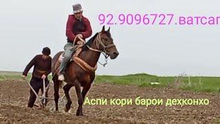 Дар н.Деваштич карор дорад.тел.92.9096727.ватсап