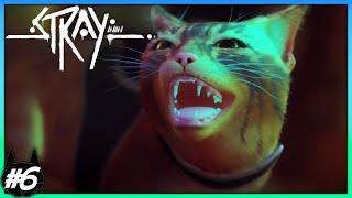 A Catwalk To Midtown - Stray Part 6