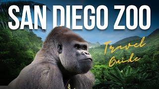 San Diego Zoo FULL TOUR: the 10 Best Things to Do [4k]