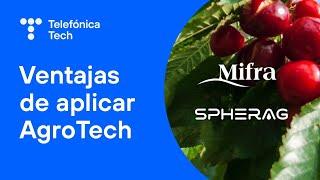 Mifra: a clear example of the advantages of TechAgro | Succes story | Telefónica Tech