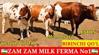 ZAM ZAM MILK FERMA. ESTON KRASNIY PYOSTRA GALESHTEN RASISKIY ️938038080