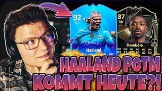 HAALAND POTM KOMMT HEUTE?! DARAUF MÜSST IHR DIE TAGE ACHTEN!! | EA FC 25 ULTIMATE TEAM