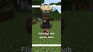 Minecraft Mob Name Tag SECRETS!