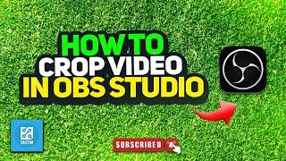 How to crop video in obs studio 2024