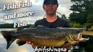 Trout Fishing On Lake Aniwhenua (Rangitaiki River)Autumn 2021