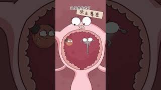 达宝拿着避孕环就这么水灵灵的出来了 #animation #動畫 #搞笑 #funny #聚猿创团队