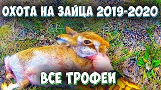 ОХОТА НА ЗАЙЦА 2019-2020. Все зайцы сезона. Лучшие моменты, выстрелы. Охота в Ростовской области.