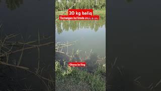 20 kg baliq ovi  #fishing #baliqovu #fish #baliqovi