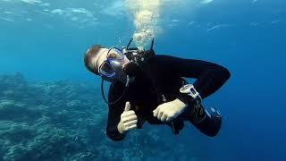 Abu Hashish Dive Site Red Sea Egypt with Aquarius Diving Center Makadi Bay