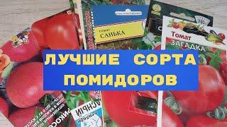 Как сажать семена помидор, выбрали 12 сортов