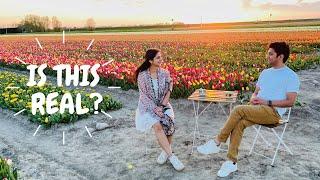 Amazing Tulips Fields Of Netherlands | Dutch Tulips Season Is Here | Desi Couple On The Go Travel