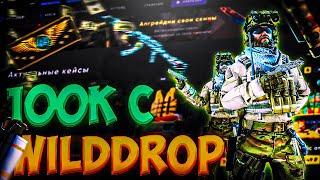 ВЫНЕС 100К  С WILD DROP ! WILD DROP ПРОВЕРКА САЙТА В 2023 ГОДУ!  РОЗЫГРЫШ  НА WILDDROP!