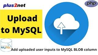 User upload binary data or image  to store in MySQL BLOB  data type column using PHP PDO