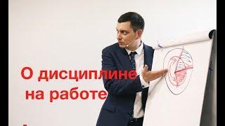 О дисциплине на работе | Максим Батырев