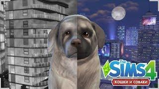  THE SIMS 4 КОШКИ И СОБАКИ | ОТ РОЖДЕНИЯ ДО СТАРОСТИ | FROM BIRTH TO OLD AGE - DOG VERSION 