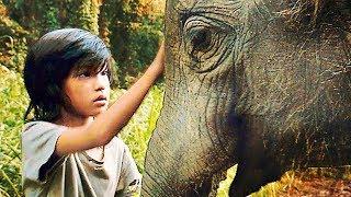 Mon Ami l'Éléphant - Film COMPLET en Français | Familial - Drame