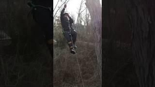 Hickory removal by the river #treeclimber #treeremoval