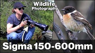 You Won't Believe What We Found!!! Wildlife photography with the Sigma 150-600mm C Lens